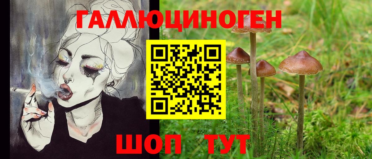Галлюциногенные грибы ЛСД Коркино